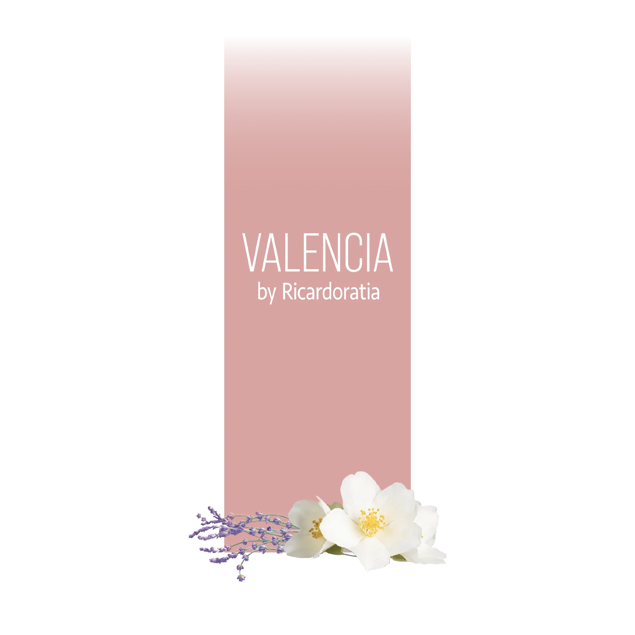 Valencia Membership - Image 2